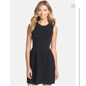 Cynthia Steffe Knit Fit & Flare LB Dress New office dress bandage